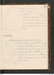 Seite 95, Tagebuch "Palästina (Tagebuch)" (NHMW-PRAE-BBB-80)